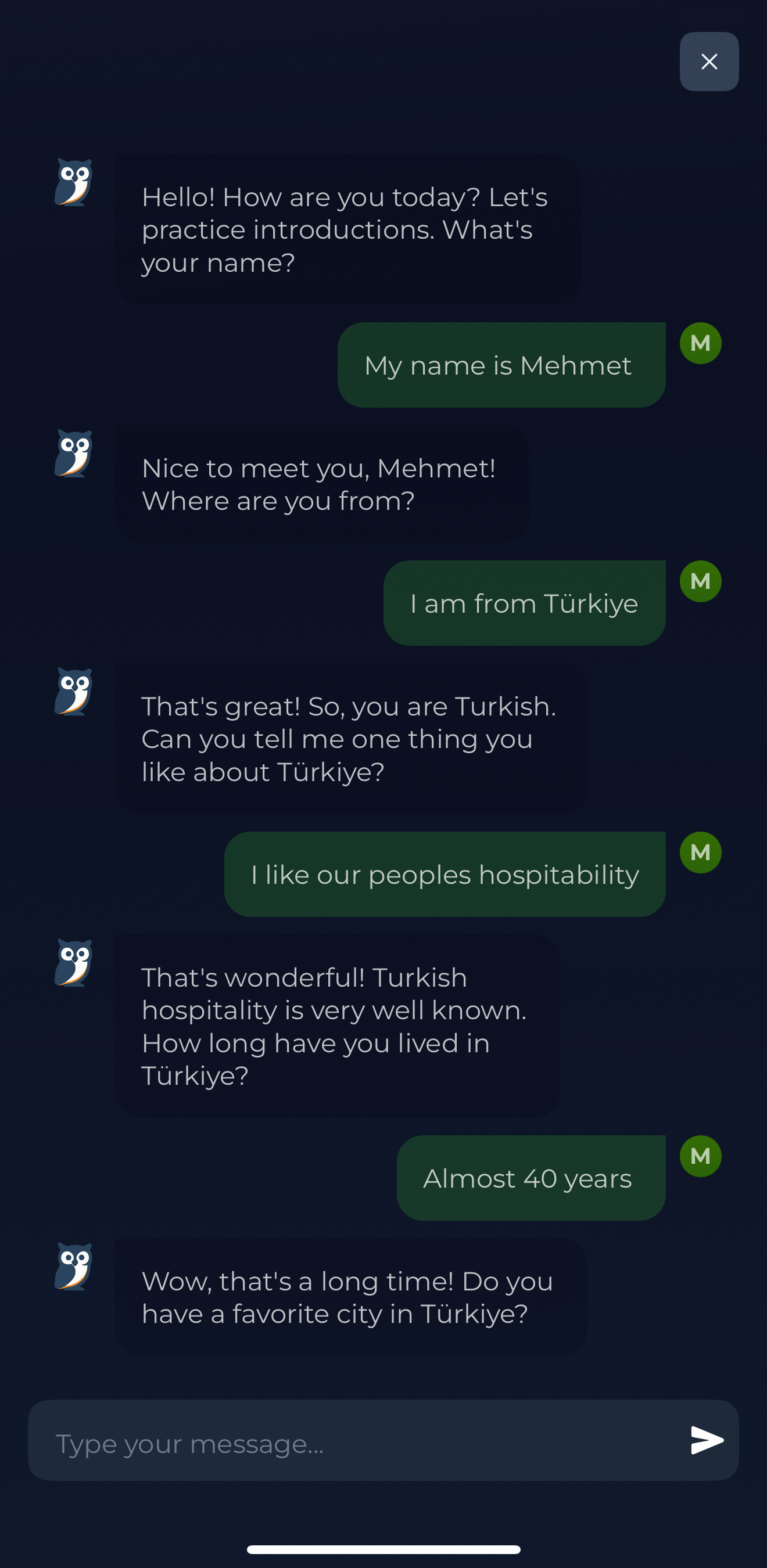 ApiLingua Screenshot Chatbot