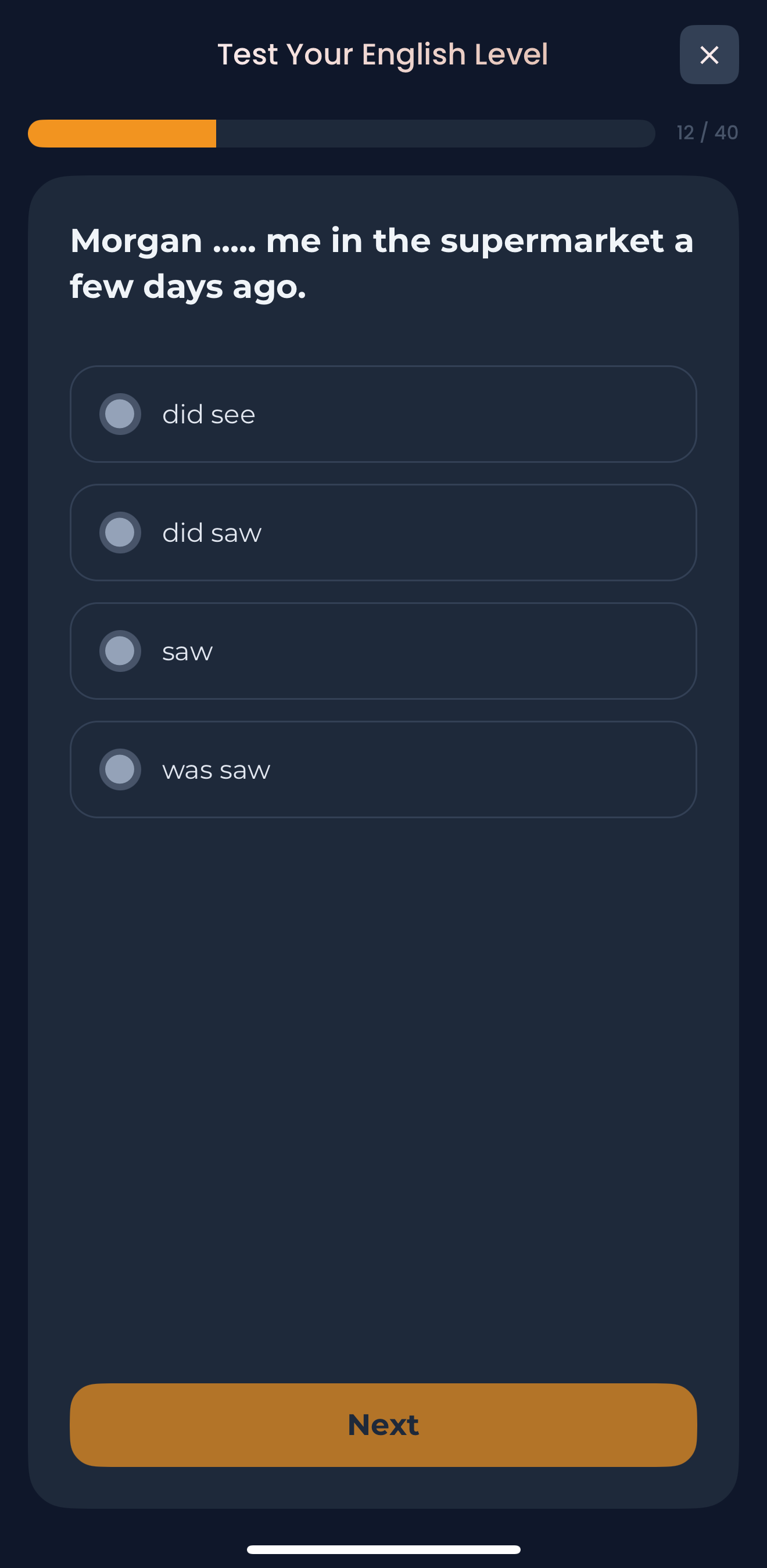ApiLingua Screenshot Level Test